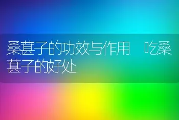 桑葚子的功效与作用 吃桑葚子的好处