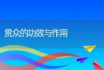 贯众的功效与作用