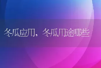 冬瓜应用,冬瓜用途哪些