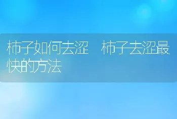 柿子如何去涩 柿子去涩最快的方法