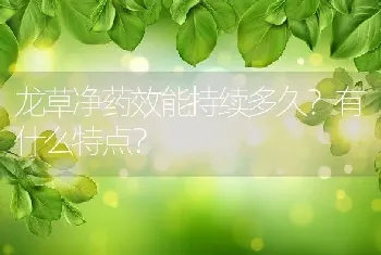 龙草净药效能持续多久？有什么特点？