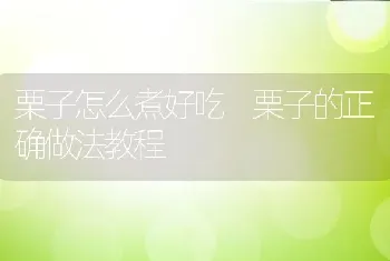 栗子怎么煮好吃 栗子的正确做法教程