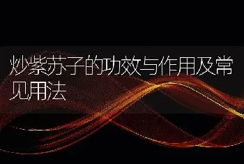 炒紫苏子的功效与作用及常见用法