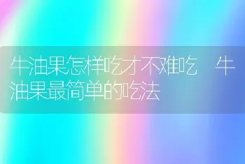 牛油果怎样吃才不难吃 牛油果最简单的吃法