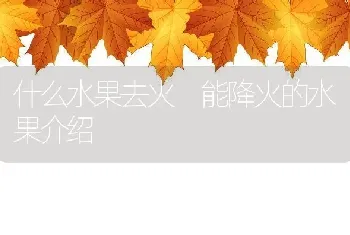 什么水果去火 能降火的水果介绍