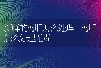 新鲜的海胆怎么处理 海胆怎么处理无毒