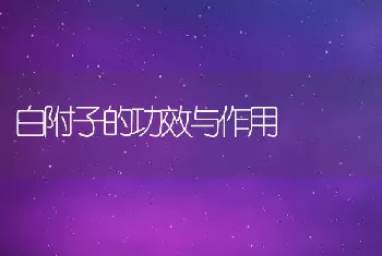 白附子的功效与作用