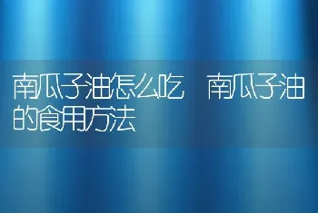 南瓜子油怎么吃 南瓜子油的食用方法