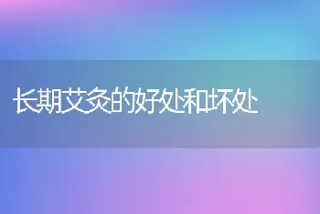 长期艾灸的好处和坏处