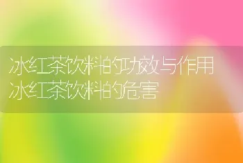 冰红茶饮料的功效与作用 冰红茶饮料的危害