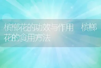 槟榔花的功效与作用 槟榔花的食用方法