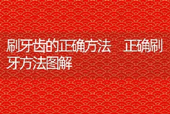 刷牙齿的正确方法 正确刷牙方法图解