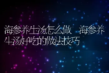 海参养生汤怎么做 海参养生汤好吃的做法技巧