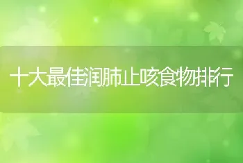 十大最佳润肺止咳食物排行