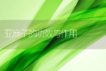 亚麻子的功效与作用