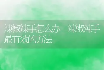 辣椒辣手怎么办 辣椒辣手最有效的方法