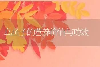 乌鱼子的营养价值与功效