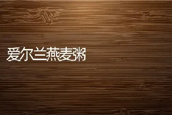 爱尔兰燕麦粥