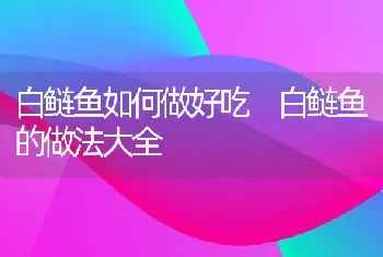 白鲢鱼如何做好吃 白鲢鱼的做法大全