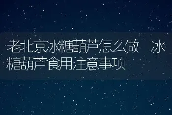 老北京冰糖葫芦怎么做 冰糖葫芦食用注意事项