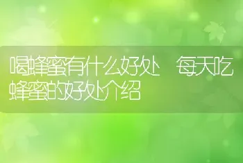 喝蜂蜜有什么好处 每天吃蜂蜜的好处介绍