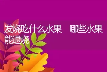 发烧吃什么水果 哪些水果能退烧