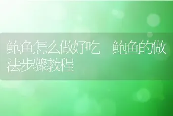 鲍鱼怎么做好吃 鲍鱼的做法步骤教程