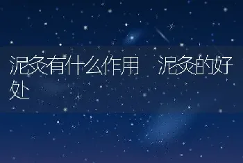 泥灸有什么作用 泥灸的好处