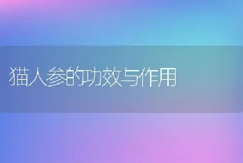 猫人参的功效与作用