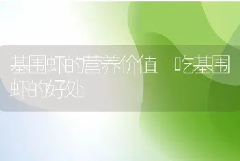 基围虾的营养价值 吃基围虾的好处