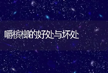 嚼槟榔的好处与坏处