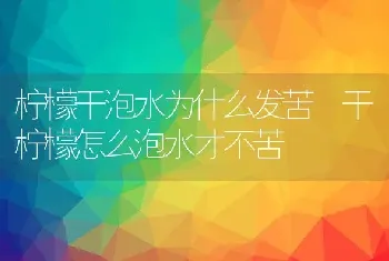 柠檬干泡水为什么发苦 干柠檬怎么泡水才不苦