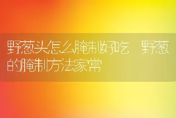 野葱头怎么腌制好吃 野葱的腌制方法家常