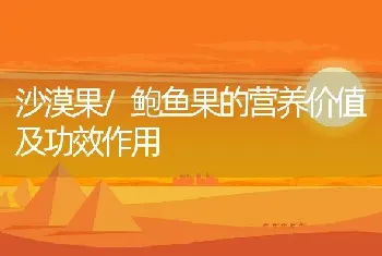 沙漠果/鲍鱼果的营养价值及功效作用