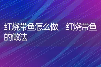 红烧带鱼怎么做 红烧带鱼的做法