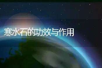 寒水石的功效与作用