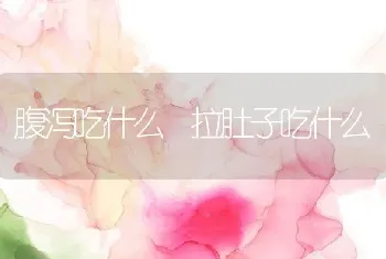 腹泻吃什么 拉肚子吃什么