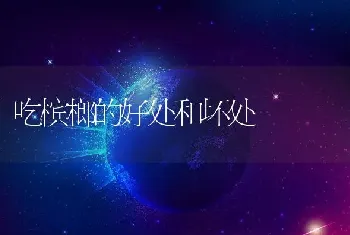 吃槟榔的好处和坏处