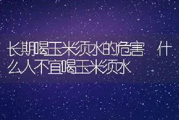 长期喝玉米须水的危害 什么人不宜喝玉米须水