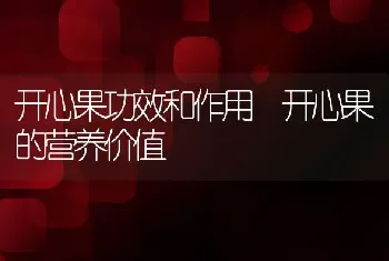 开心果功效和作用 开心果的营养价值