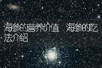 海参的营养价值 海参的吃法介绍