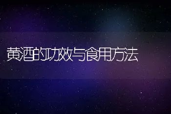 黄酒的功效与食用方法