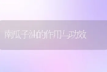 南瓜子油的作用与功效