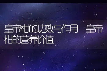 皇帝柑的功效与作用 皇帝柑的营养价值