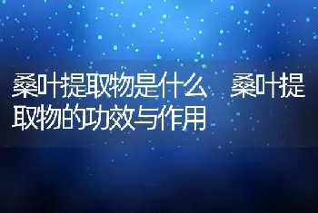 桑叶提取物是什么 桑叶提取物的功效与作用