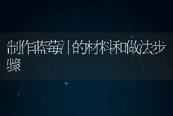 制作蓝莓汁的材料和做法步骤