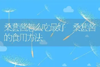 桑葚酱怎么吃最好 桑葚酱的食用方法