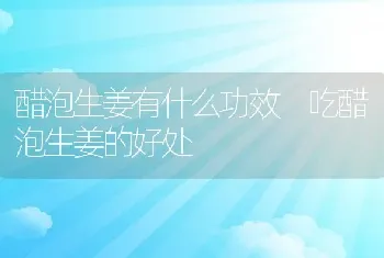 醋泡生姜有什么功效 吃醋泡生姜的好处