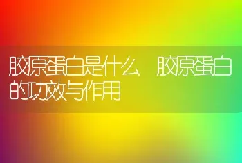 胶原蛋白是什么 胶原蛋白的功效与作用