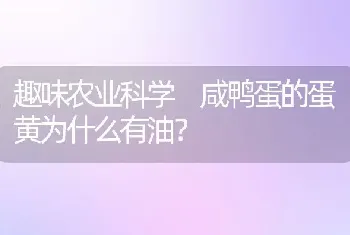 趣味农业科学 咸鸭蛋的蛋黄为什么有油？